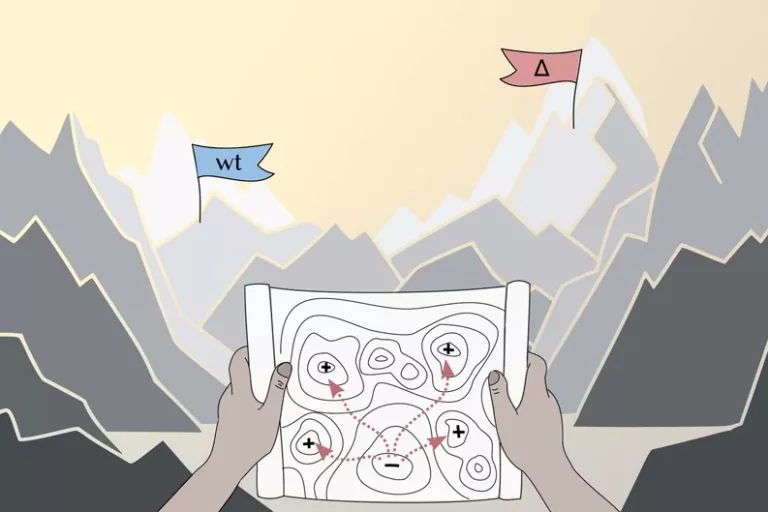 molbiolevol cover