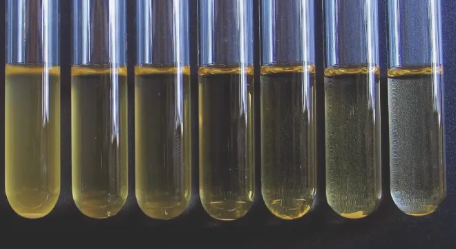 Difference in flocculation behaviour in a series of strains with varying numbers of internal tandem repeats in the FLO1 gene