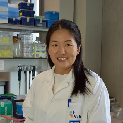 Yanmei Zhu