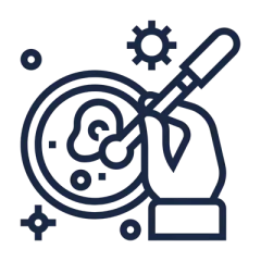 Icons Verstrepen Minisite Hiring - 11 - Edited.png